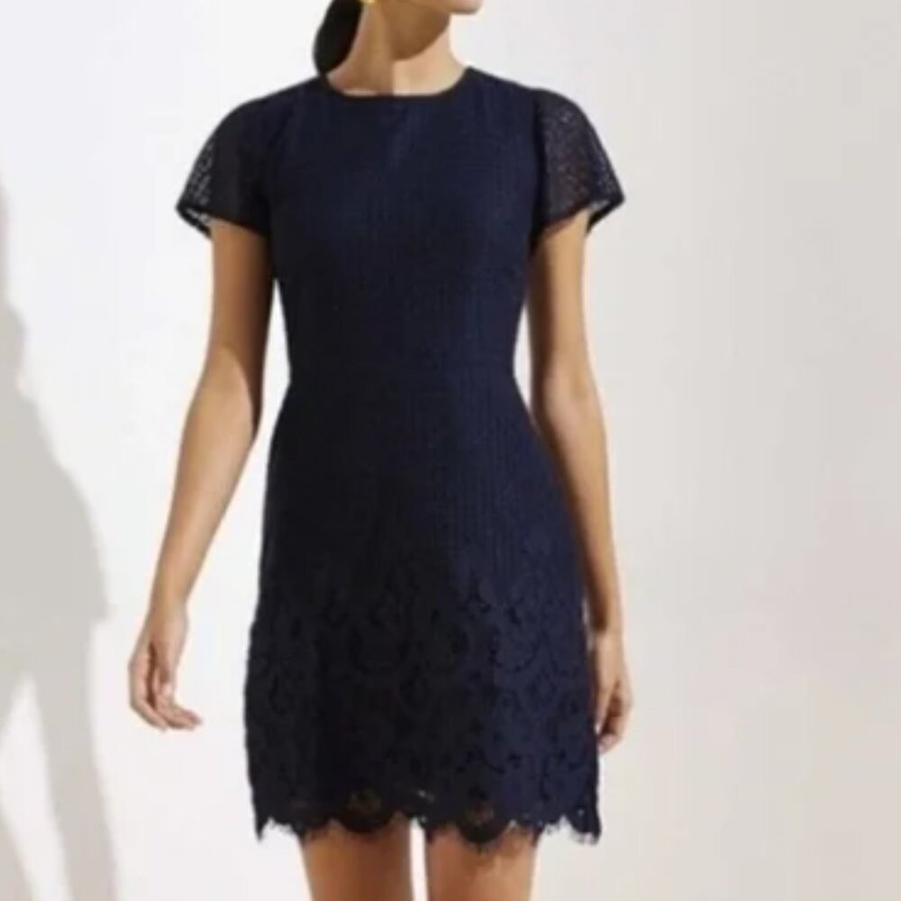 LOFT Eyelet Lace Short Illusion Cap Sleeve Shift Dress Navy Blue Size 6